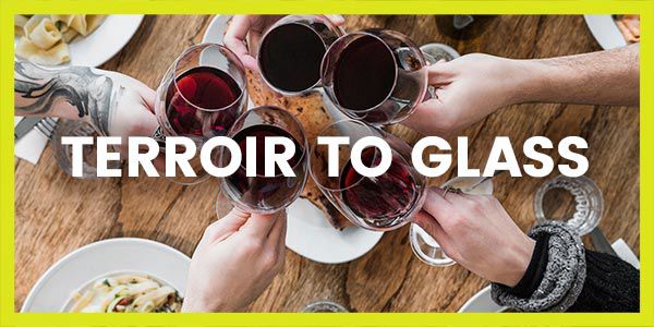 Terrior to Glass at The Village